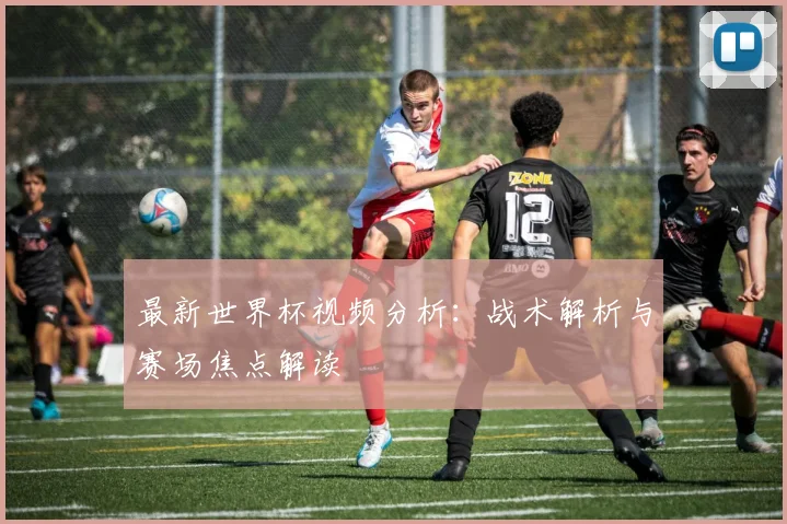 最新世界杯视频分析：战术解析与赛场焦点解读