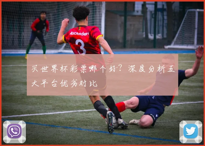 买世界杯彩票哪个好？深度分析五大平台优劣对比