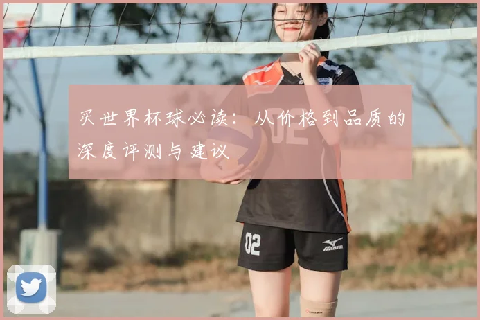 买世界杯球必读：从价格到品质的深度评测与建议