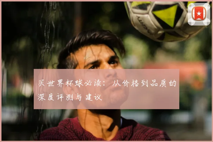 买世界杯球必读：从价格到品质的深度评测与建议