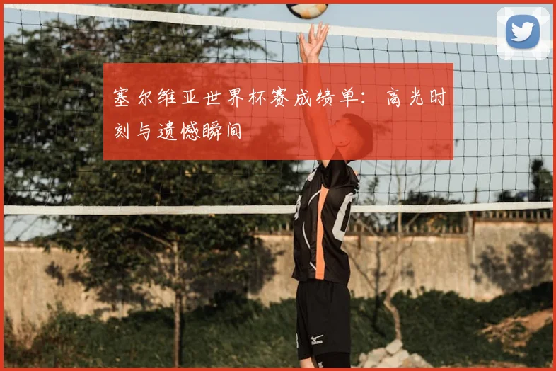 塞尔维亚世界杯赛成绩单:高光时刻与遗憾瞬间