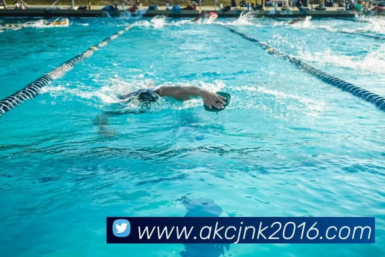 开云手机在线登陆入口APP 封面图